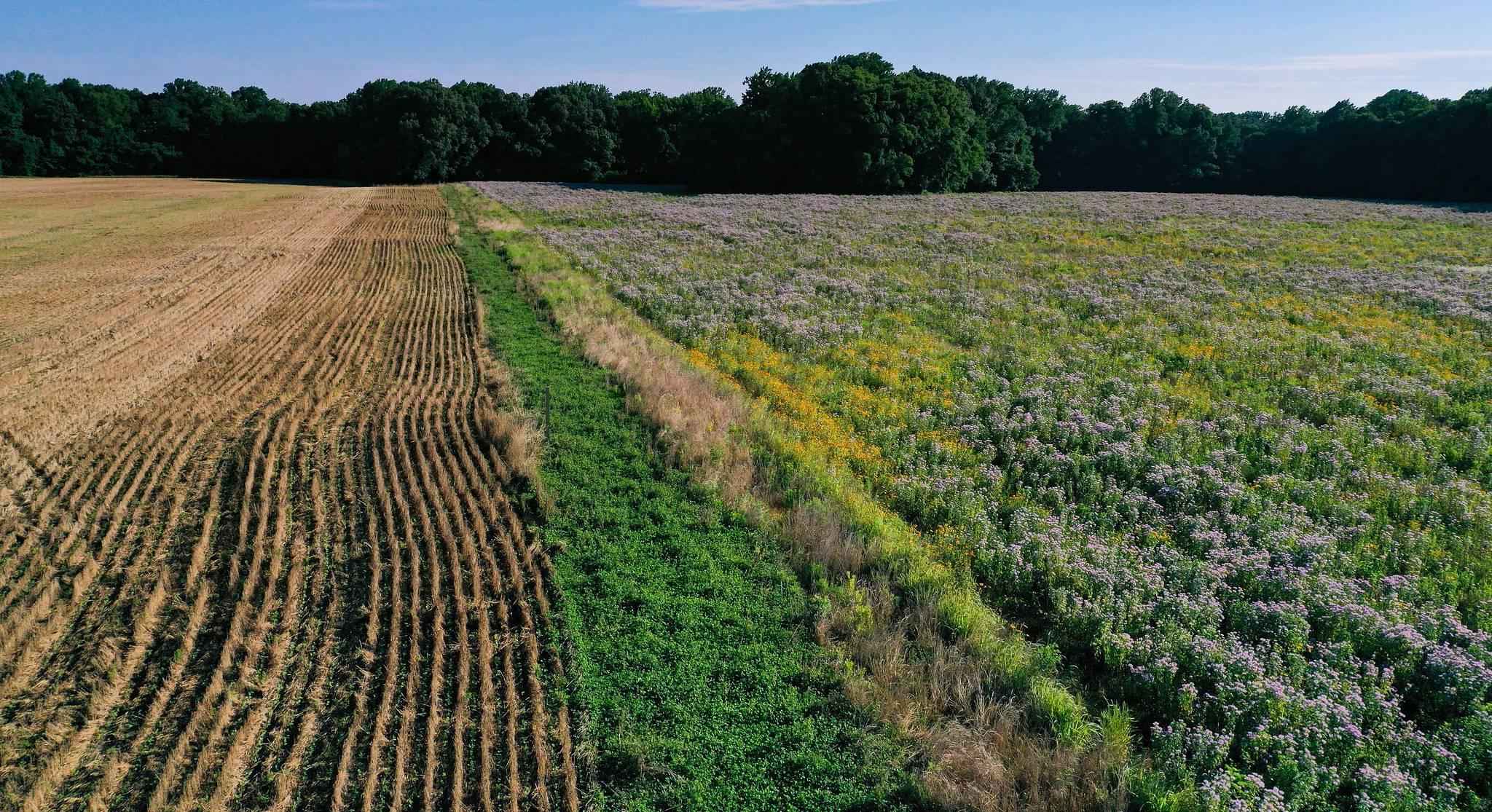 Natural Lands Project