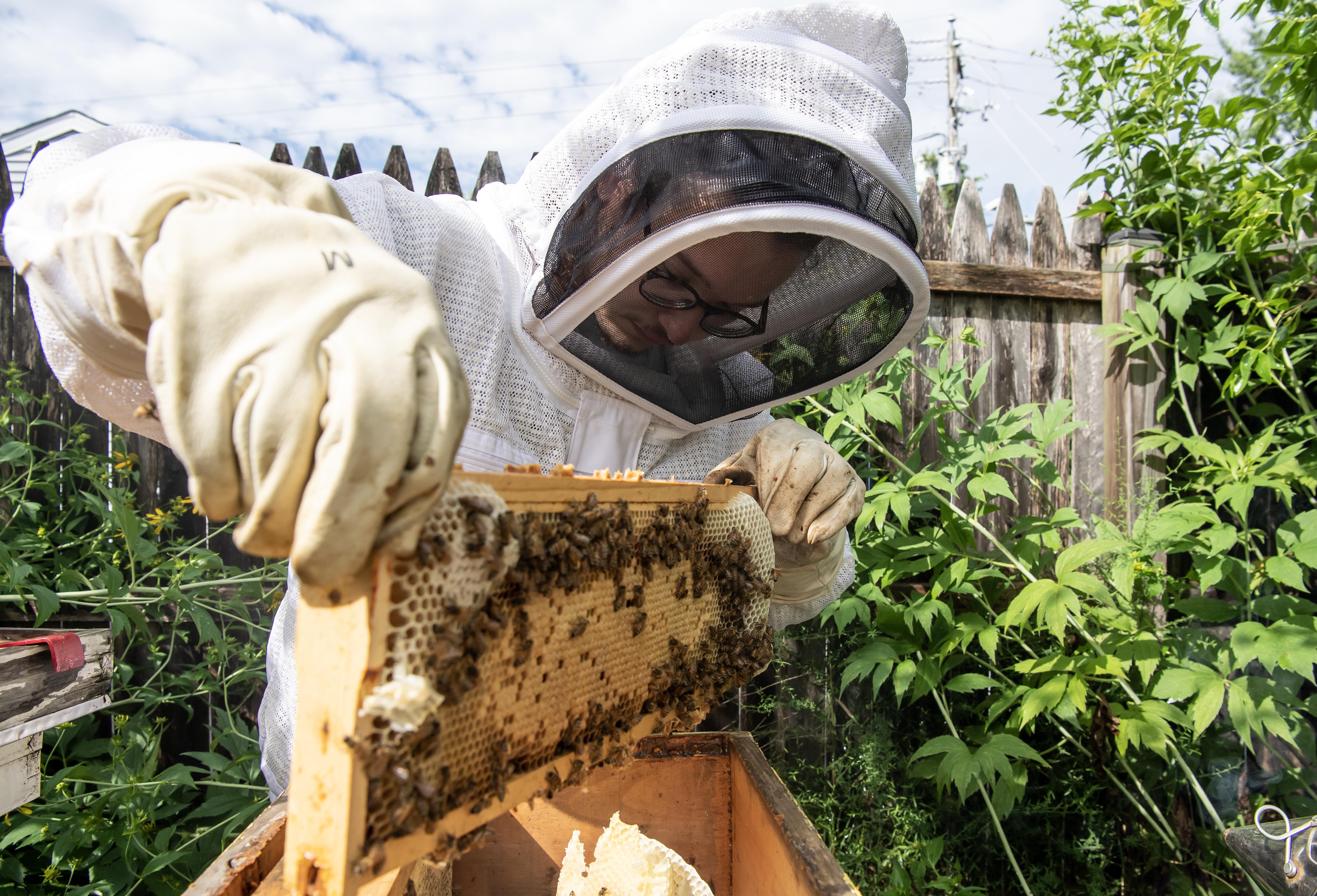 Estes Beekeeping