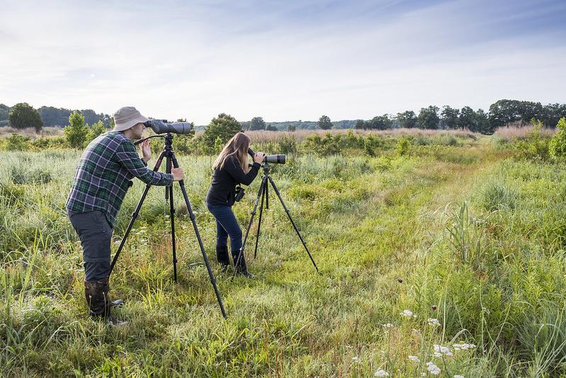 Two people with cameras in a field