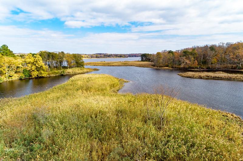 Wetlands