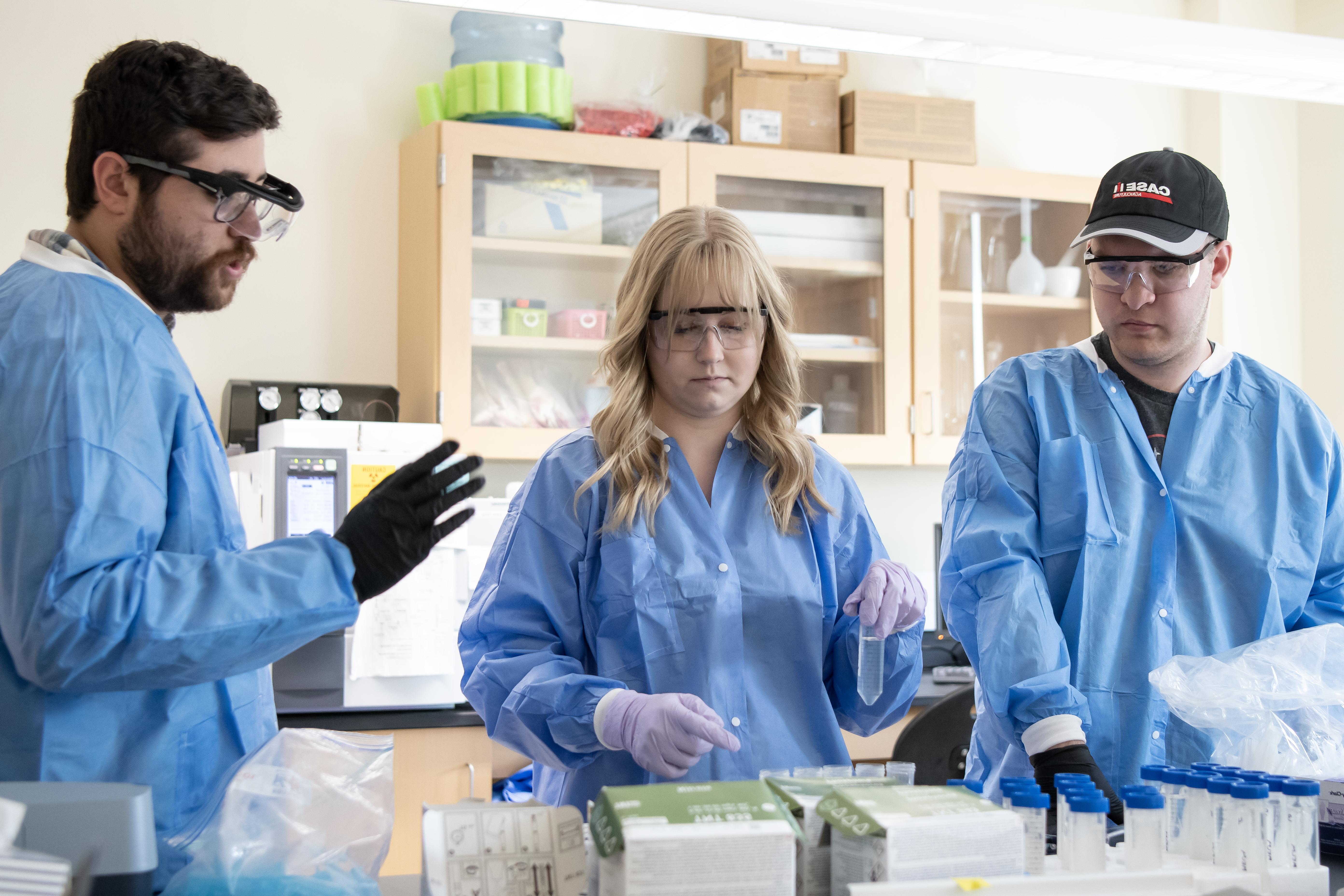 Students working in lab