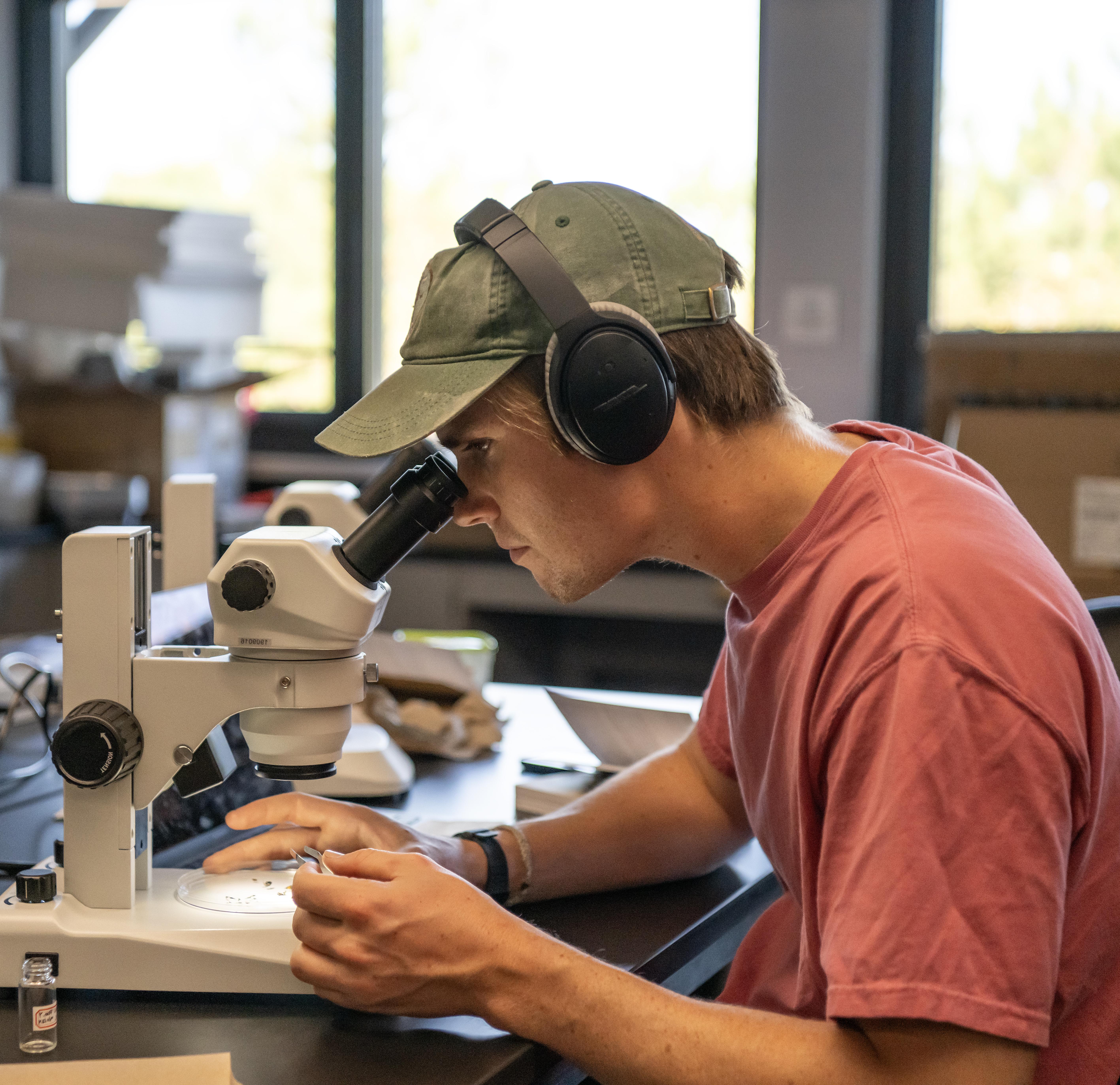 Student using microscope